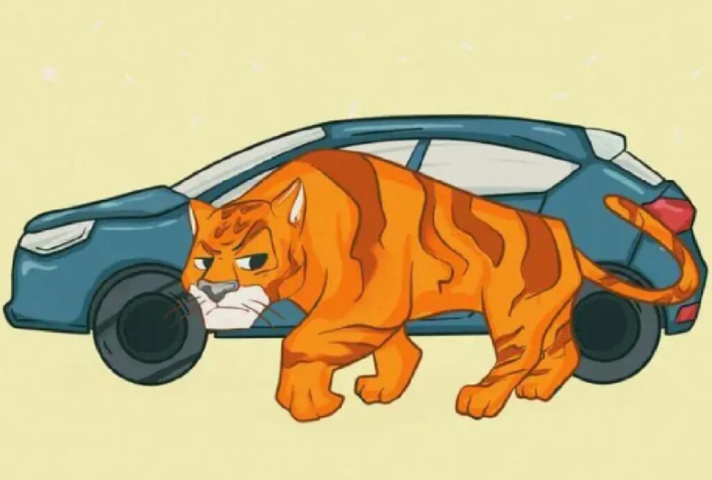 gatto grosso come auto 