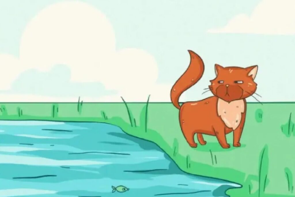 gatto nei pressi di acqua 