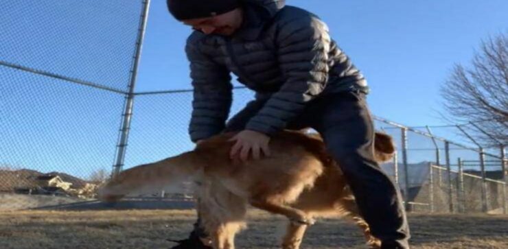 Cagnolina balla con il suo proprietario in maniera molto strana e particolare: il video vi renderà felici