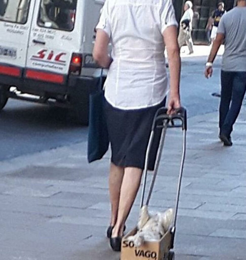 Padrona porta a spasso cucciolo col carrello