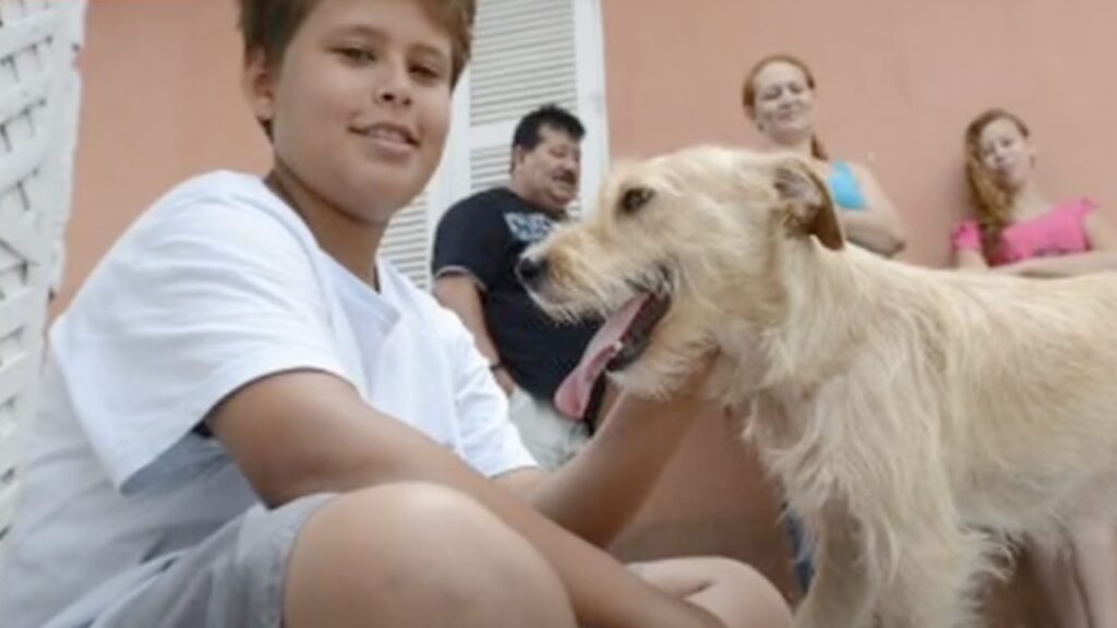 Bambino con cane