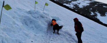 Cucciolo salva un uomo intrappolato sotto la neve