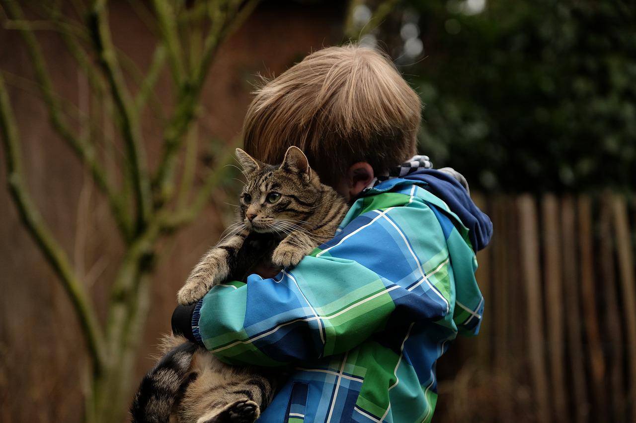 gatto insieme figli