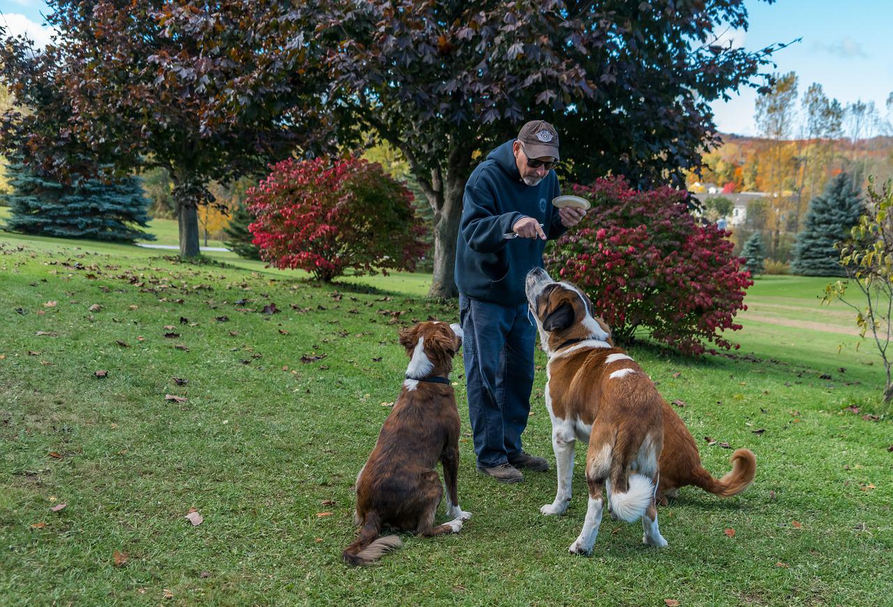 addestrare cane ingestibile