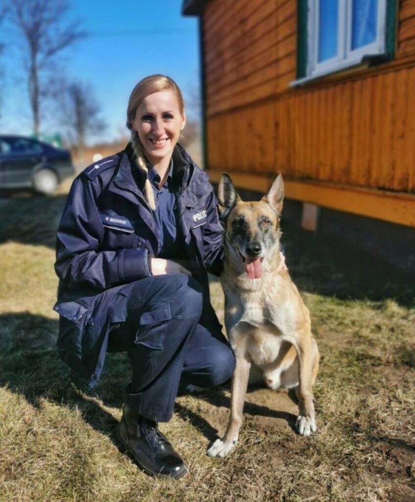 cani poliziotto in posa con l'agente