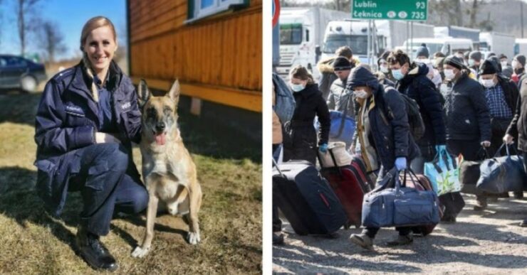 Cani poliziotto durante la fuga con l'agente