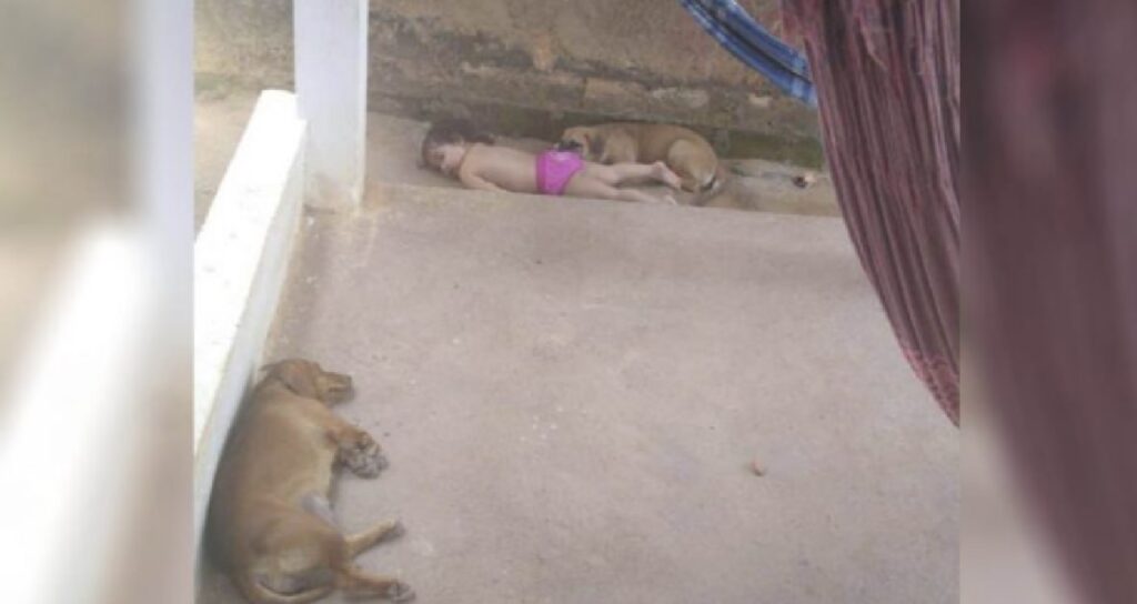 bambina cuccioli cane dorme