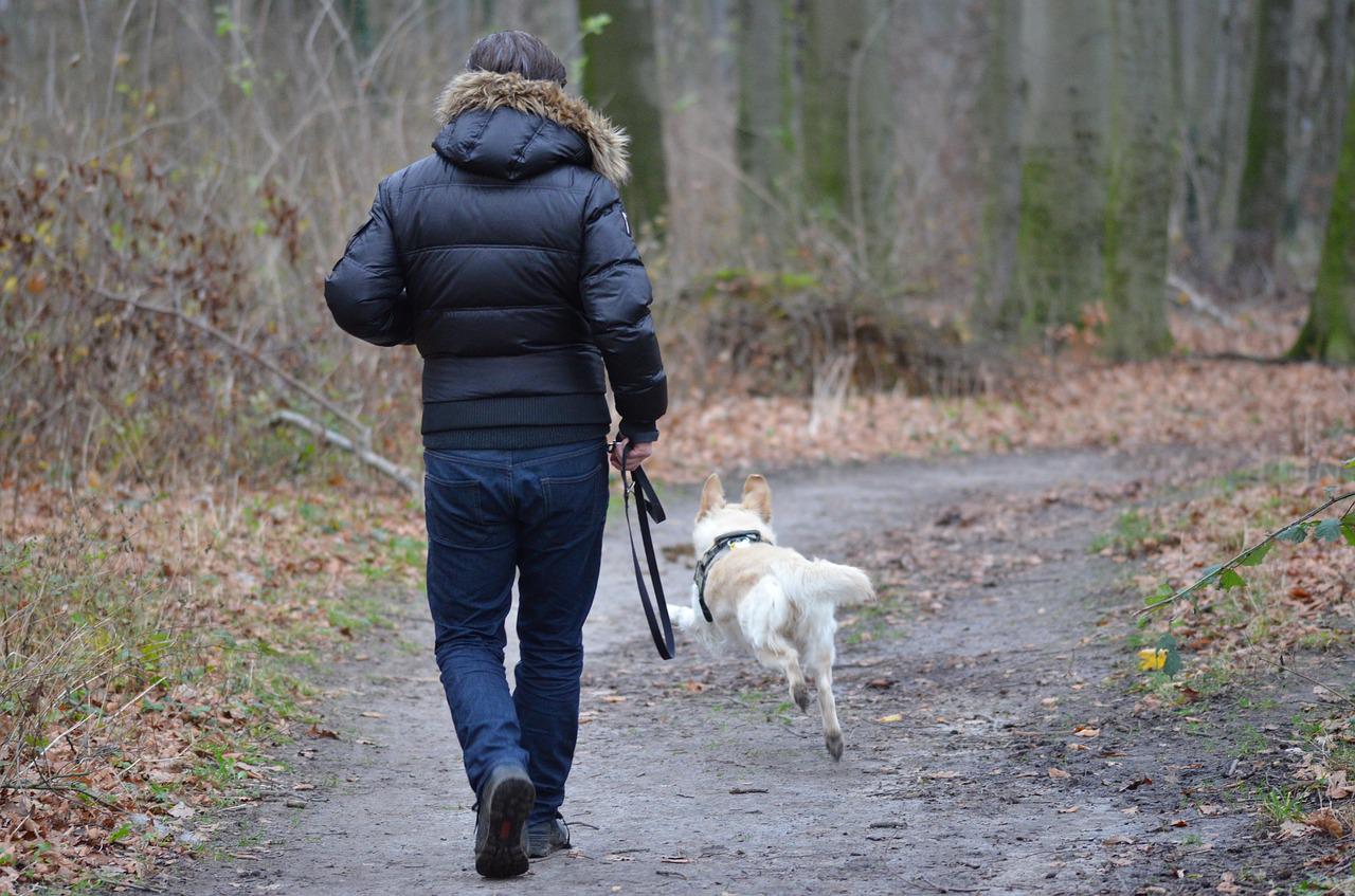 benefici cane con il gioco