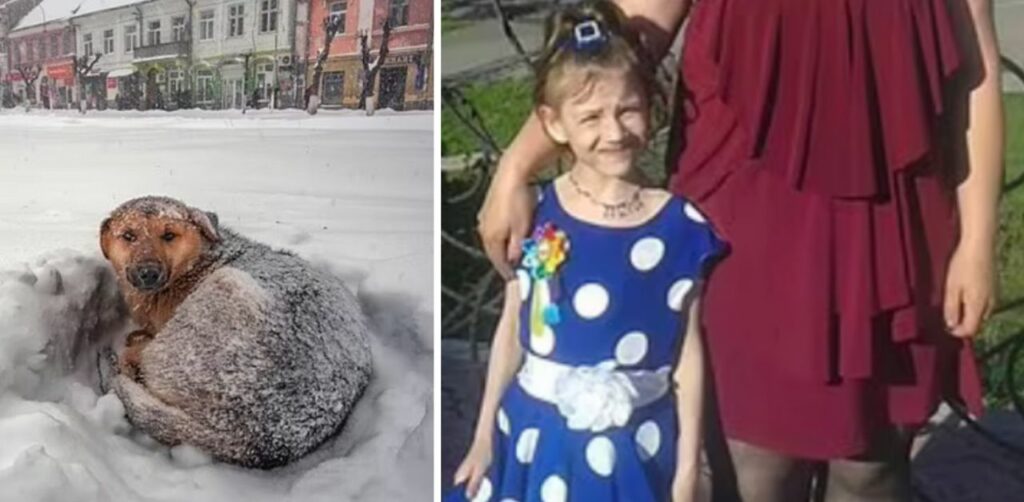 Una bambina di 11 anni sopravvive ad una tempesta di neve abbracciando un cane per 18 ore