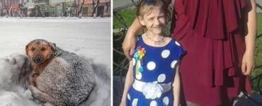 Una bambina di 11 anni sopravvive ad una tempesta di neve abbracciando un cane per 18 ore