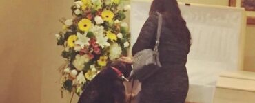 Sadie, la cagnolina che non riusciva a superare la morte del suo padrone