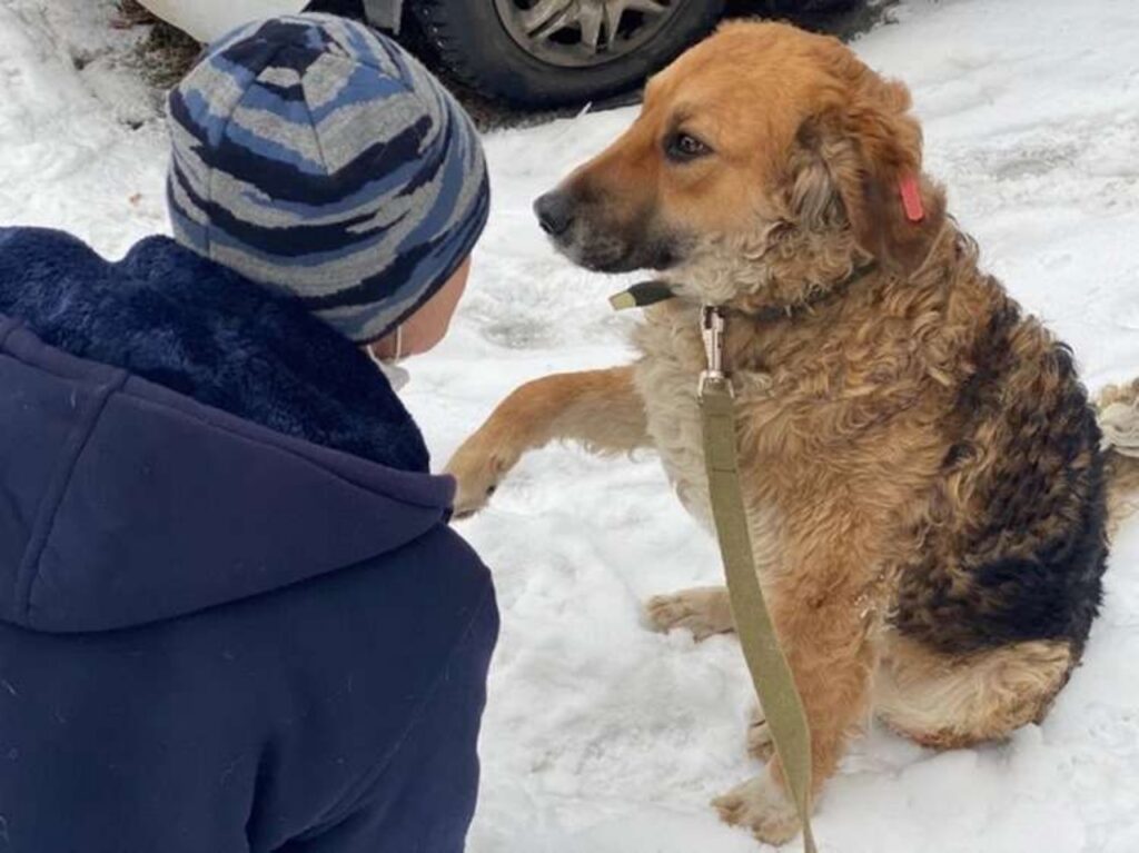 cane randagio con la sua adottante