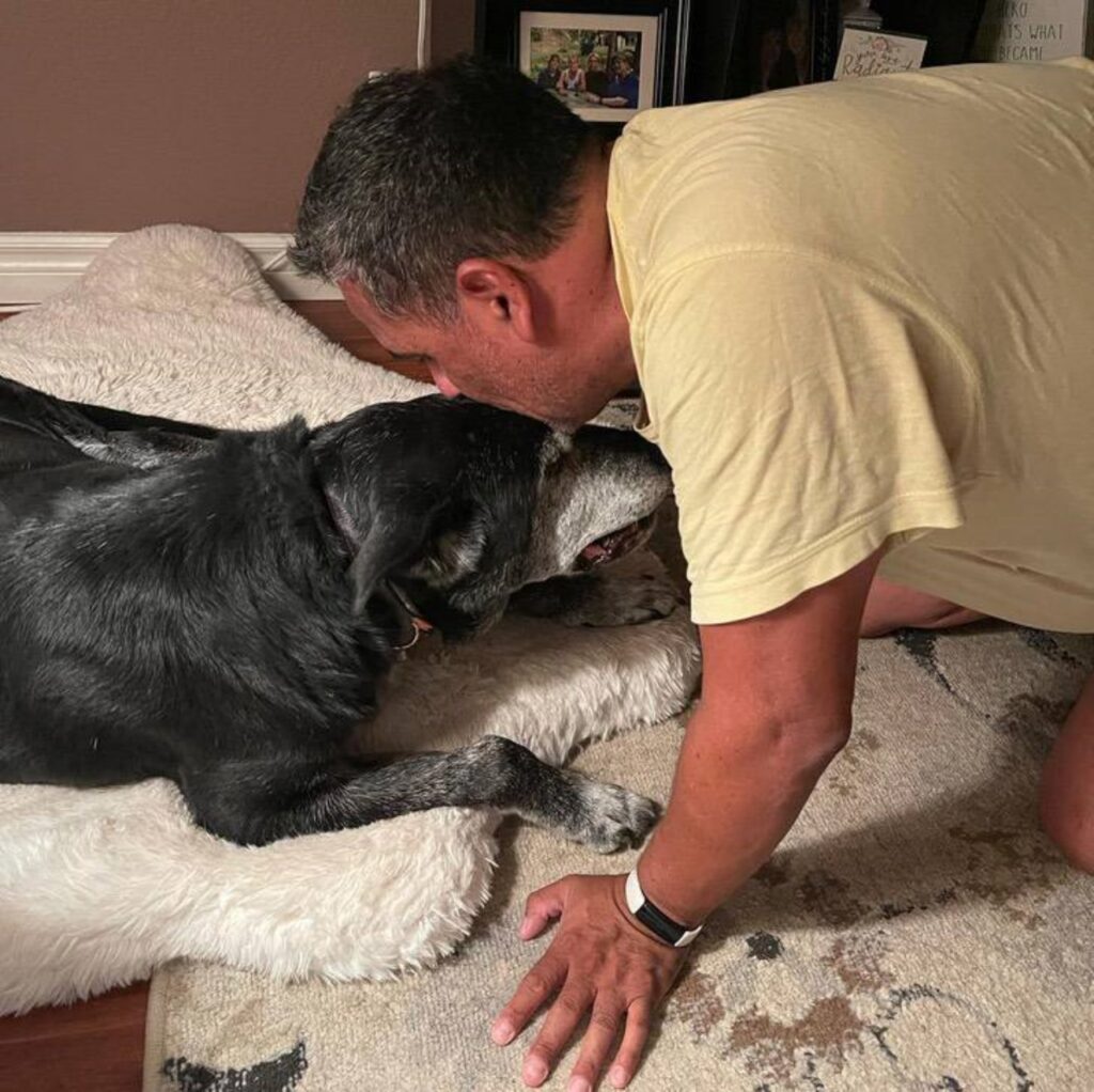 cane anziano baciato dal proprietario