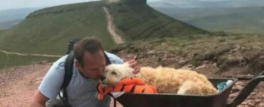 Dice addio al suo cane di 10 anni e gli organizza un'ultima passeggiata indimenticabile