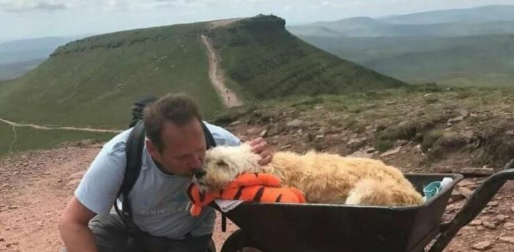 Dice addio al suo cane di 10 anni e gli organizza un'ultima passeggiata indimenticabile