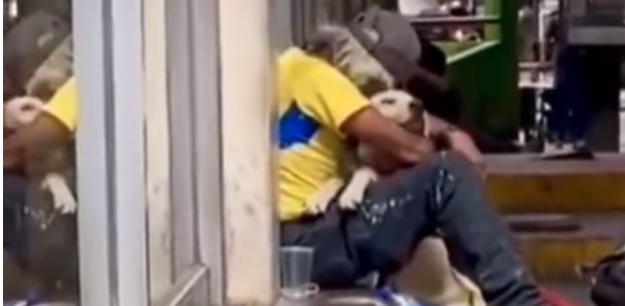 Il cane si avvicina al senzatetto e gli da un lungo abbraccio