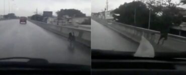 Cane abbandonato dal suo padrone, si getta da un ponte per la disperazione