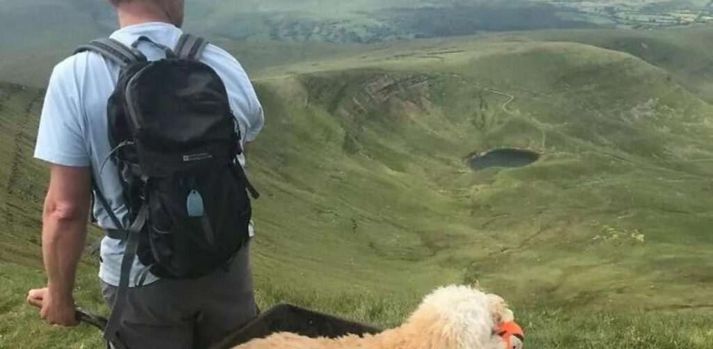 Dice addio al suo cane di 10 anni e gli organizza un'ultima passeggiata indimenticabile