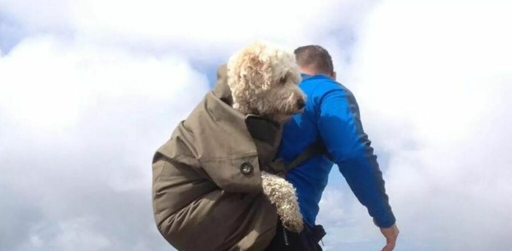 Dice addio al suo cane di 10 anni e gli organizza un'ultima passeggiata indimenticabile