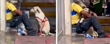 Il cane si avvicina al senzatetto e gli da un lungo abbraccio