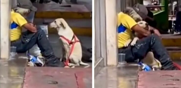 Il cane si avvicina al senzatetto e gli da un lungo abbraccio