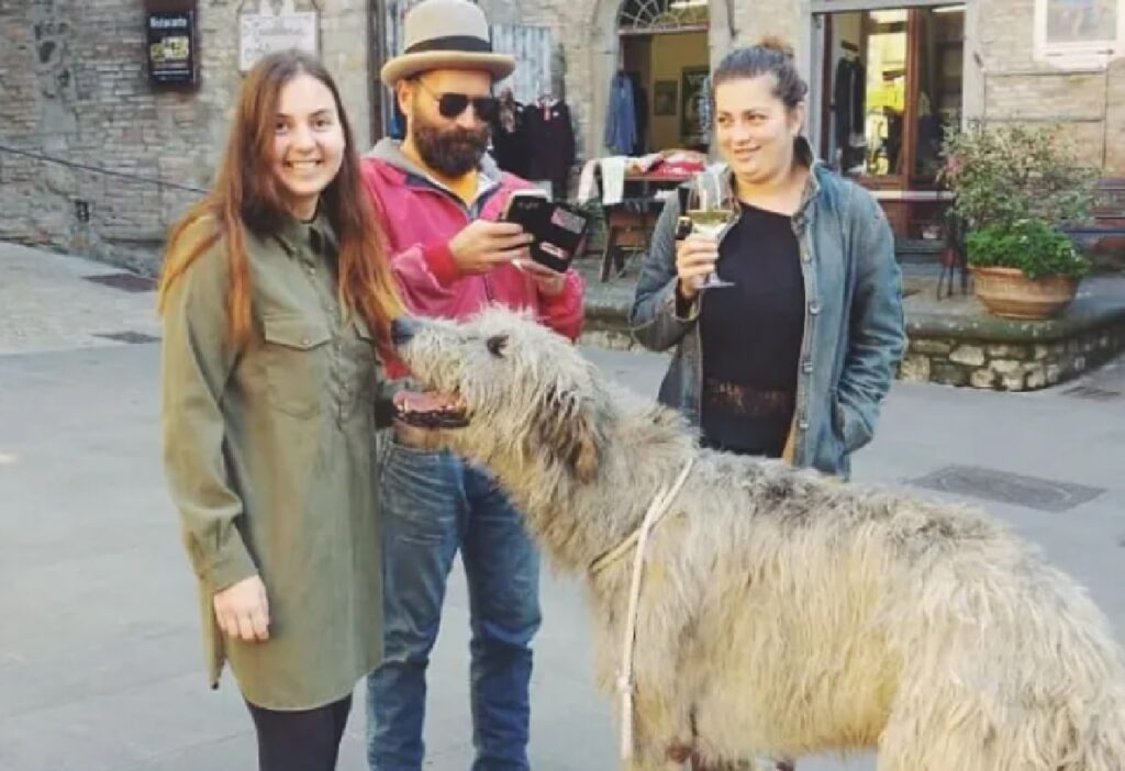 cane grande passeggio