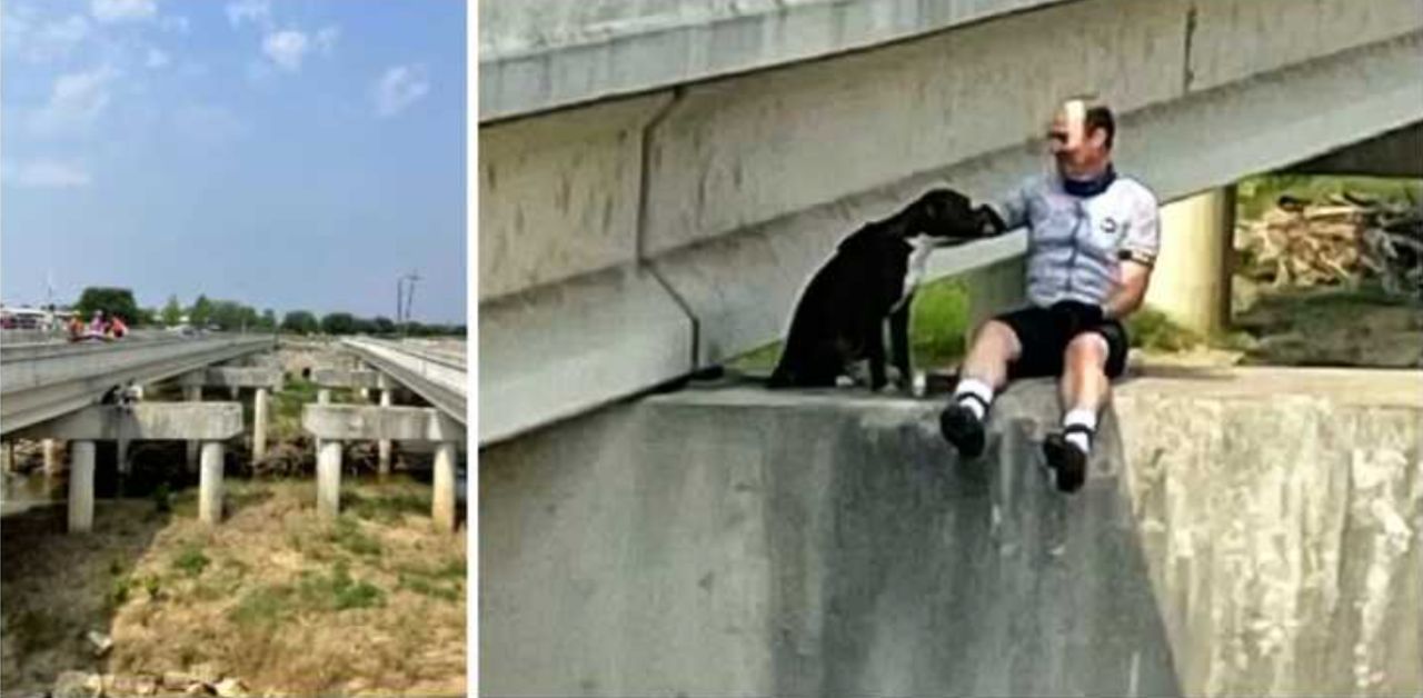 Cucciolo disperato bloccato su un ponte viene salvato da un gruppo di ciclisti