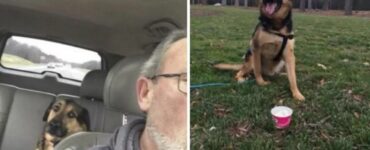 Dopo aver lasciato il suo cucciolo di cane dal padre, la proprietaria inizia a ricevere dei messaggi tanto strani quanto divertenti