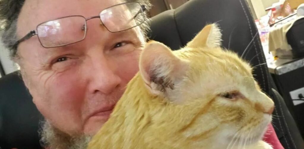 Un camionista trova un gattino ferito e decide di adottarlo, guadagnandosi un compagno di viaggio per tutta la vita