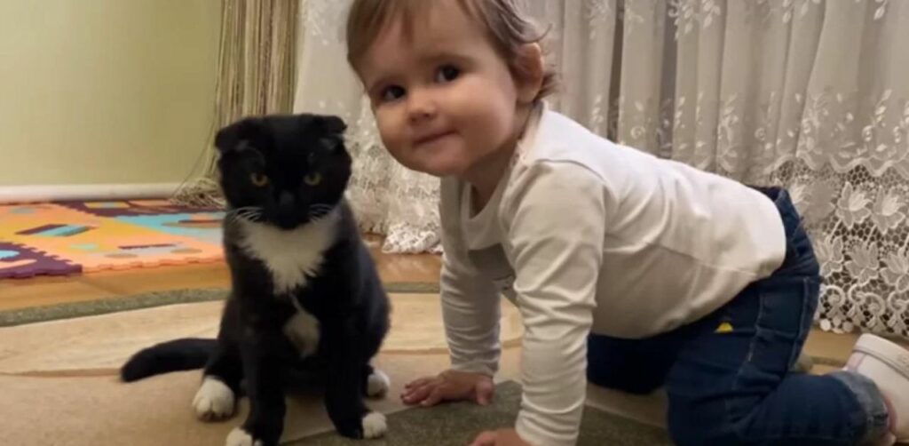 Una bambina bacia il suo gattino, amici speciali per la vita: il video è tenerissimo