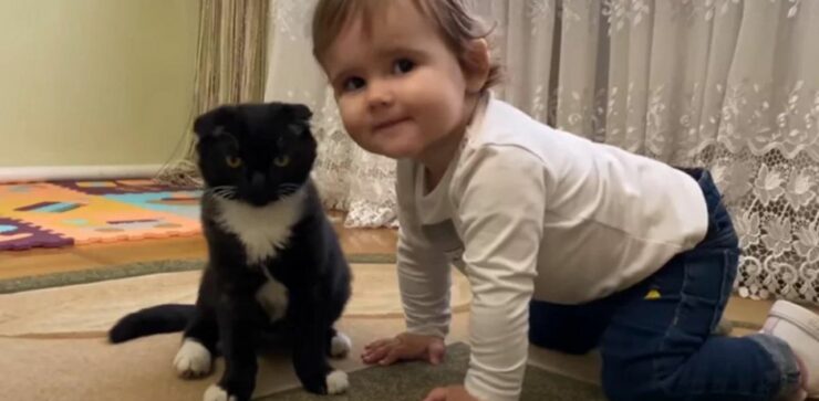 Una bambina bacia il suo gattino, amici speciali per la vita: il video è tenerissimo