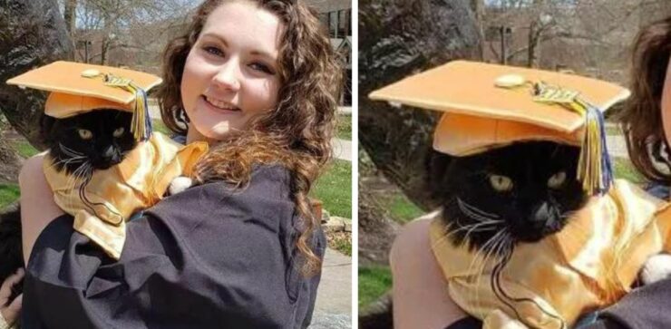 Il gattino "Salem" si laurea insieme alla sua padrona, alla quale ha fatto per tanto tempo da motivatore