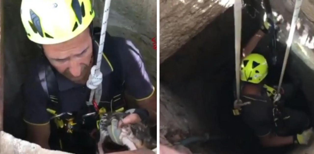 Il video del salvataggio di un gattino finito in fondo ad un pozzo