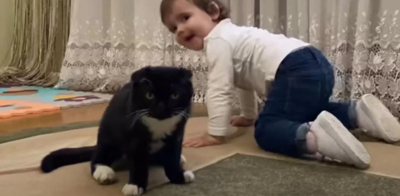 Una bambina bacia il suo gattino, amici speciali per la vita: il video è tenerissimo