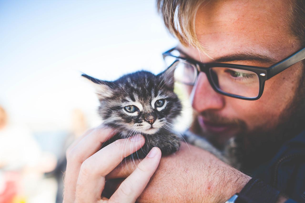 innamorarsi di un gattaro