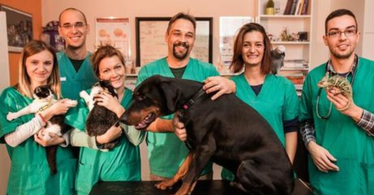 pronto soccorso veterinario h24