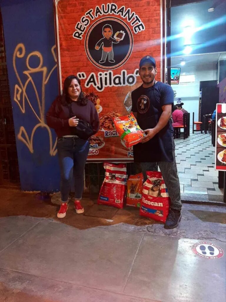 sacchi di cibo per i randagi vengono donati