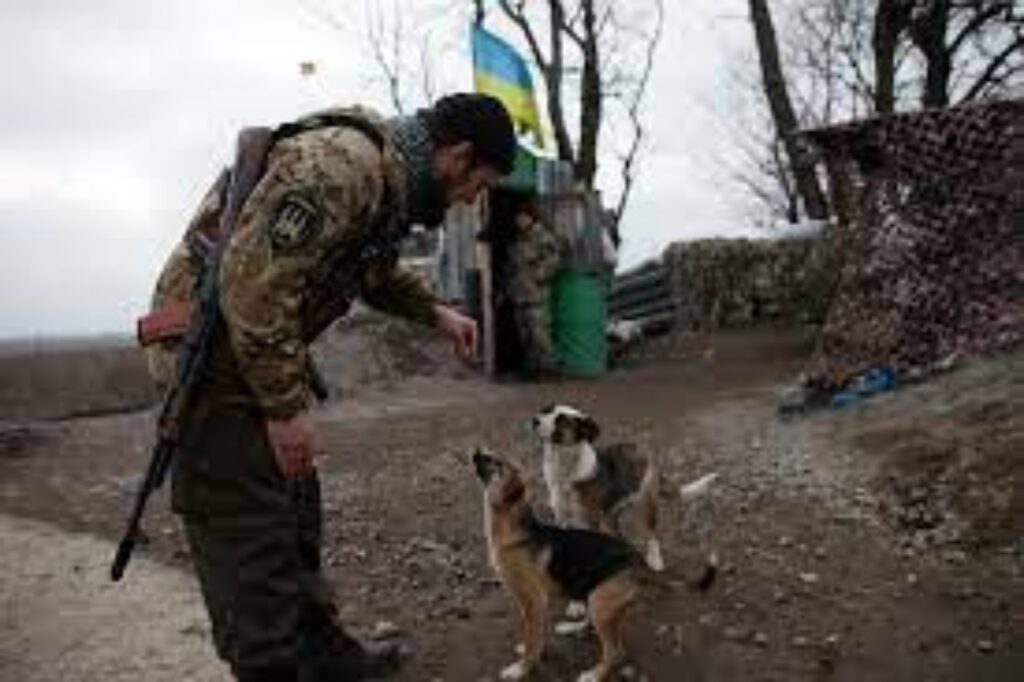 militari in ucraina