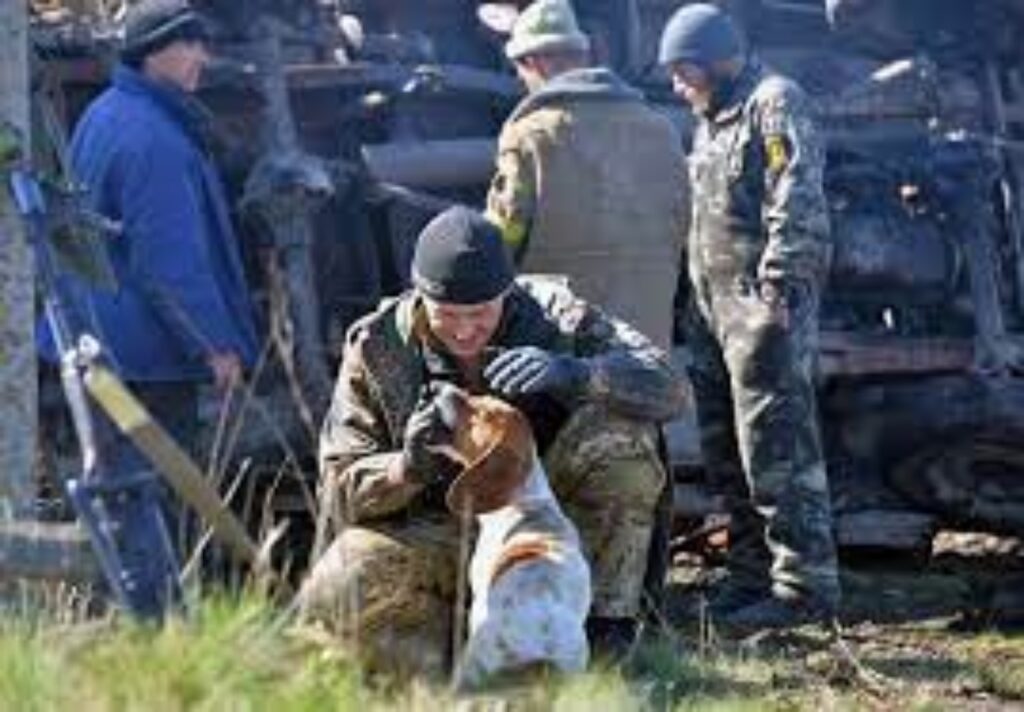 animali salvati dai soldati