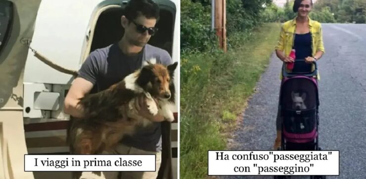 cani che ricevono tanto amore