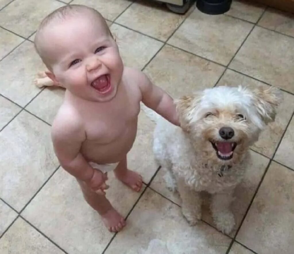 cane bianco ride con bimbo