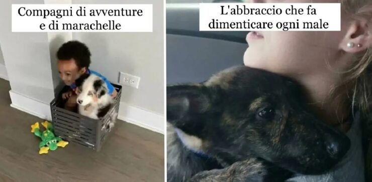 cani che si divertono ad essere grandi amici