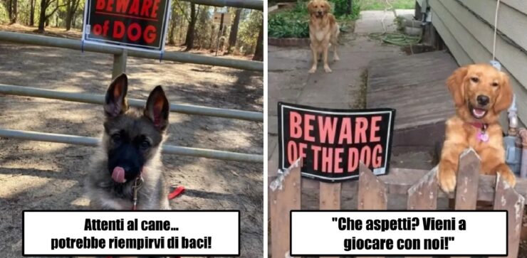 cani che non rispettano il cartello