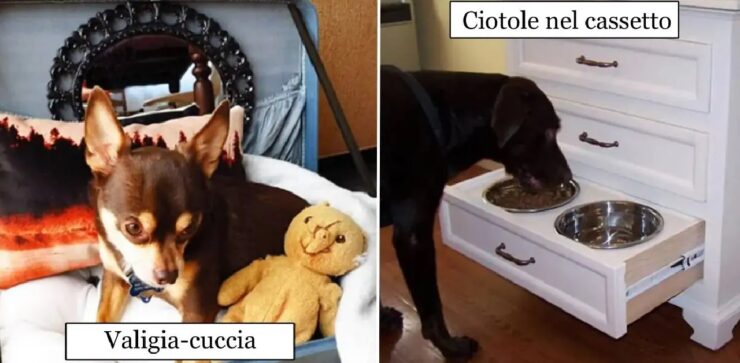 proprietari che hanno reso migliore la vita dei loro cani