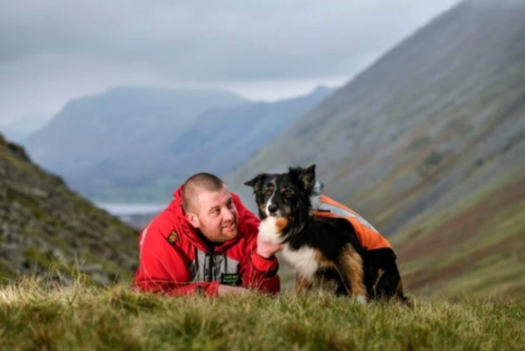 cane con padrone in montagna