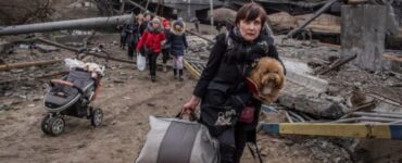 animali in fuga coi proprietari dall'Ucraina