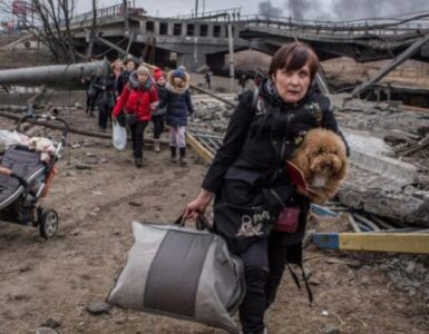 animali in fuga coi proprietari dall'Ucraina