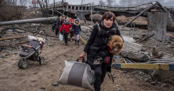 animali in fuga coi proprietari dall'Ucraina