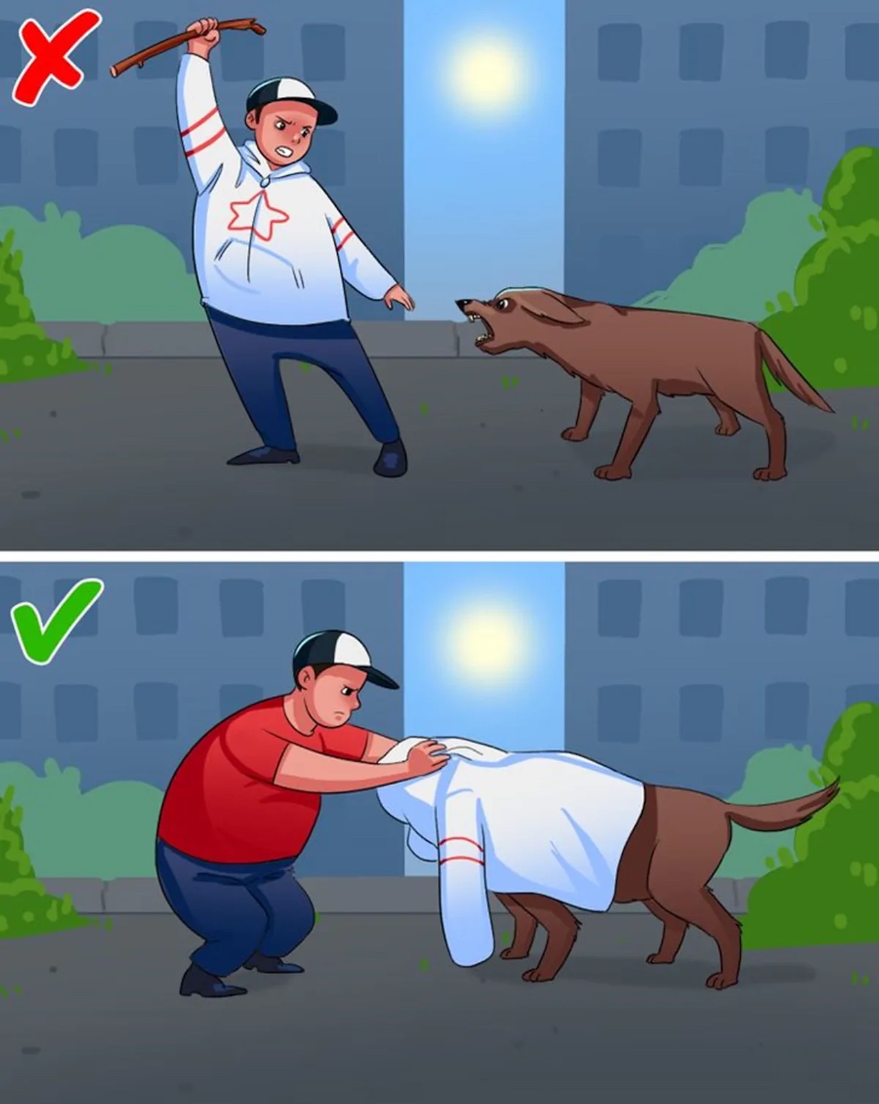 attaccati da un cane