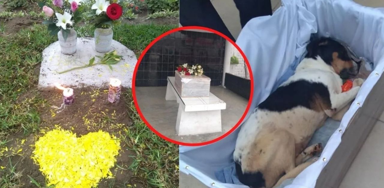 I cittadini hanno fatto una vera e propria cerimonia per salutare il loro adorato cane di paese